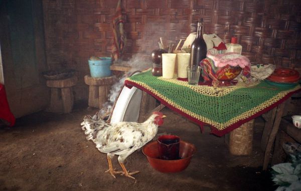 <b>«Натюрморт с курицей»</b>,<br /> домашний быт народности дорзе, Эфиопия, март 2004